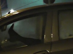 Sharing my slut wife with a stranger in the car in front of voyeurs